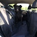 Pătură protectoare auto pentru câini
