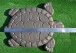 Formă de dale - țestoasă