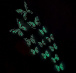 Set de fluturi luminoși pe perete - albastru
